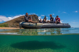 Snorkeling on a Galapagos Cruise – Top Snorkel Spots & Marine Life